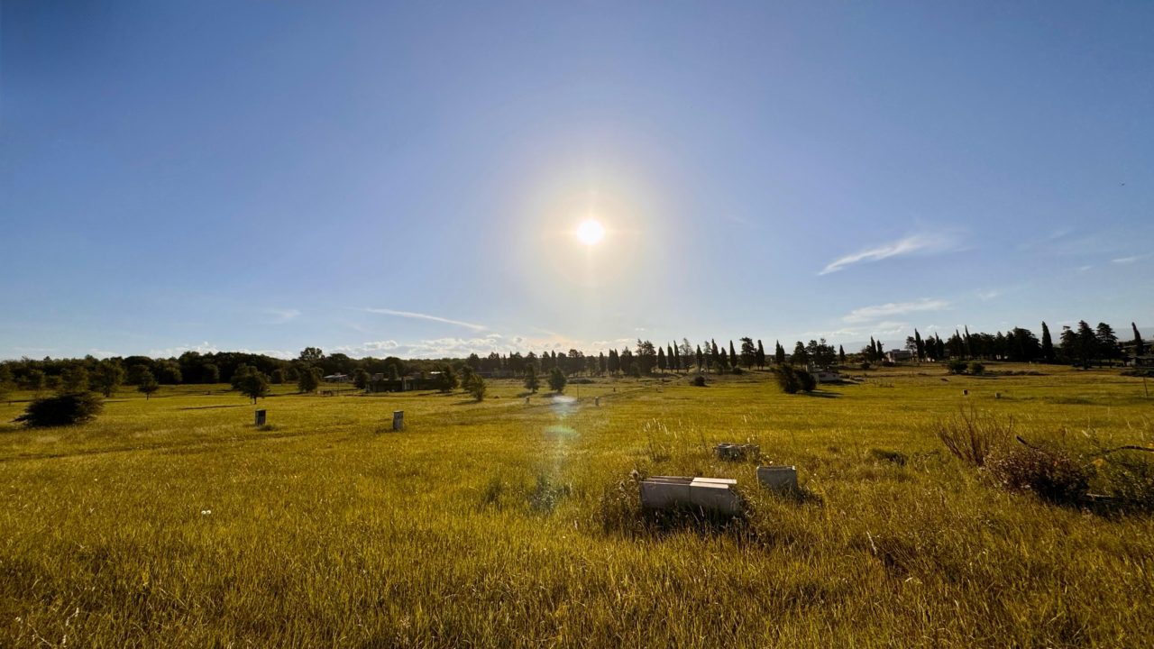 TERRENO EN LOS REARTES – PAMPA DE LOS VASCOS