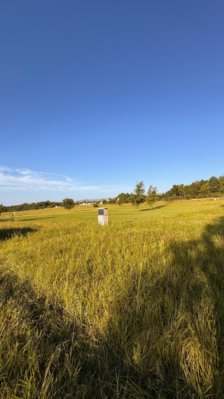 TERRENO EN LOS REARTES – PAMPA DE LOS VASCOS