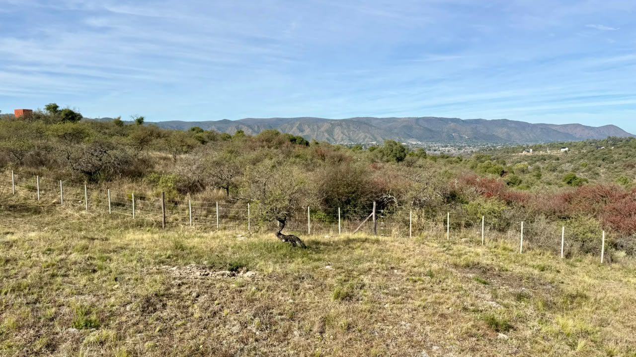 LOTE EN TIERRAS DEL SAUCE