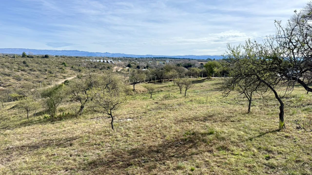 LOTE EN TIERRAS DEL SAUCE