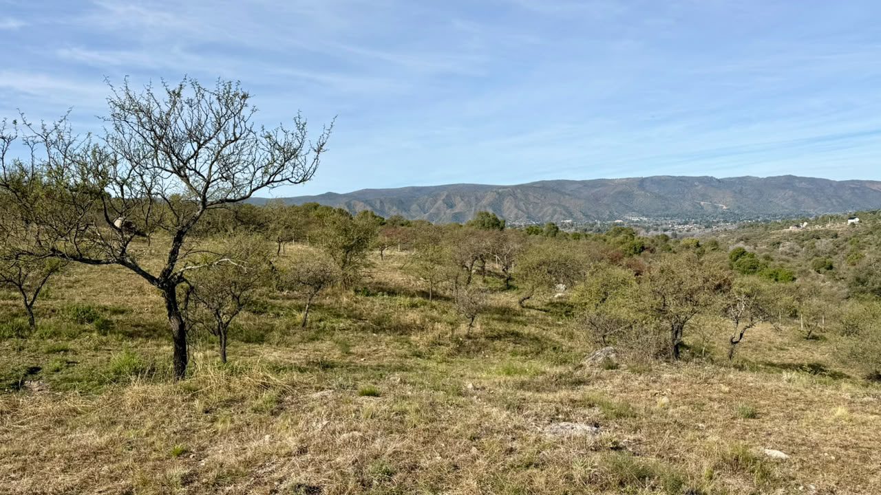 LOTE EN TIERRAS DEL SAUCE