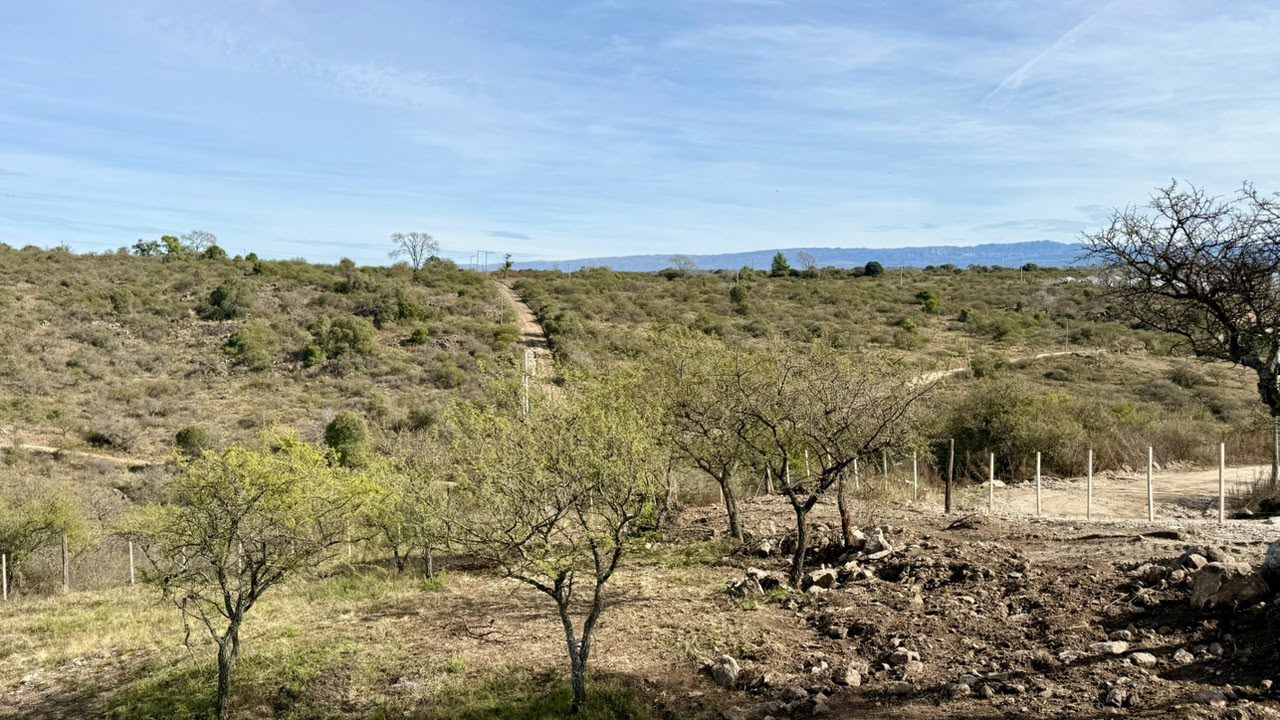 LOTE EN TIERRAS DEL SAUCE