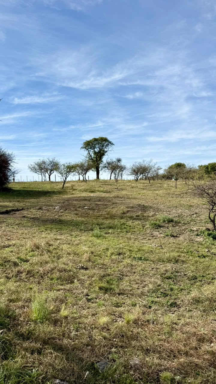 LOTE EN TIERRAS DEL SAUCE