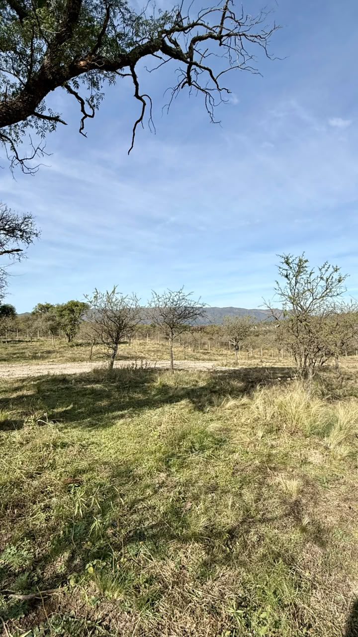 LOTE EN TIERRAS DEL SAUCE