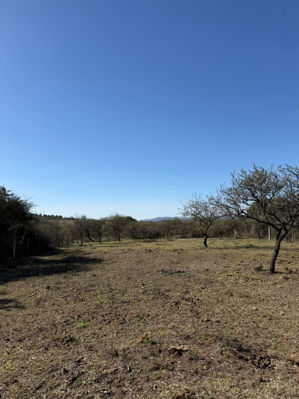 TERRENO EN VILLA GRAL. BELGRANO