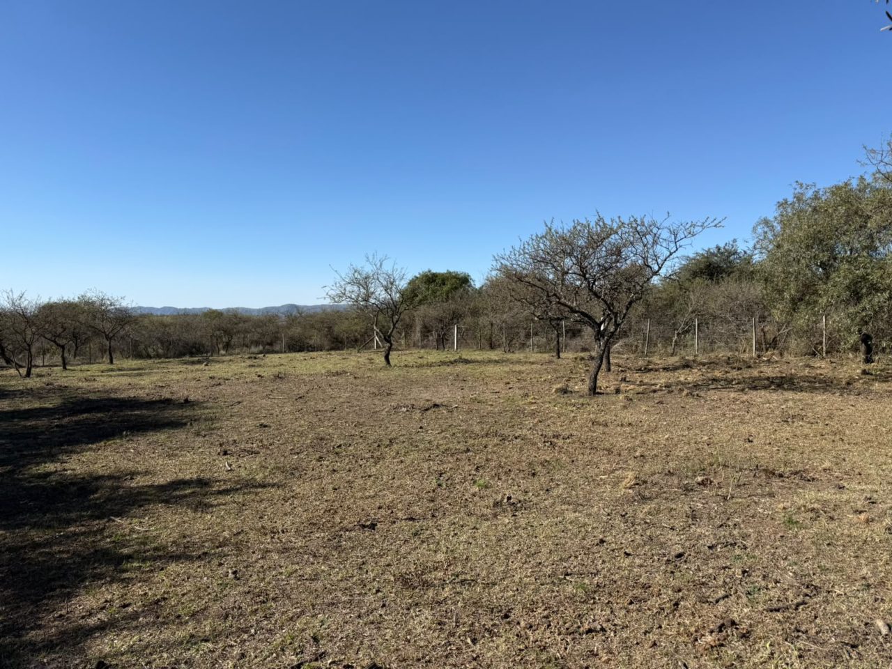TERRENO EN VILLA GRAL. BELGRANO