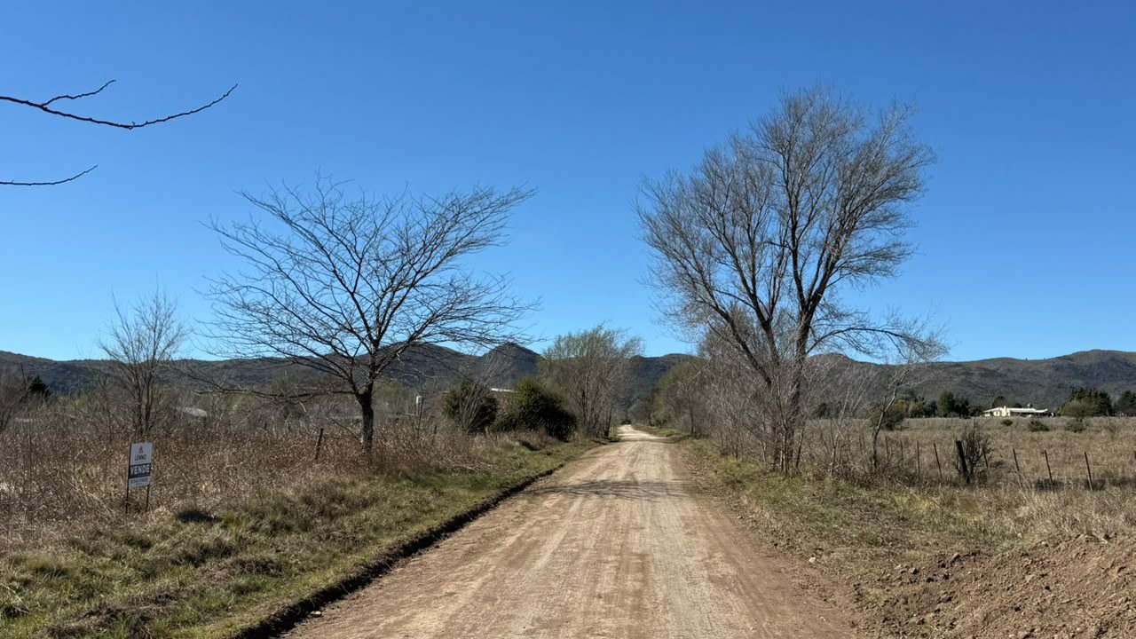 LOTE EN “SOLAR LOS MOLINOS”
